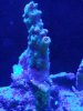 20190805_203354.jpg