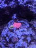PXL_20201122_220952846.MP.jpg