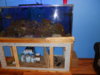 DSCN1732.JPG