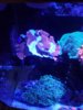20170209_183931.jpg