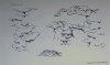 aquascape_sketch_1_800w.jpg