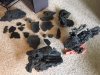 rocks 1.jpg