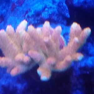20160313_101125